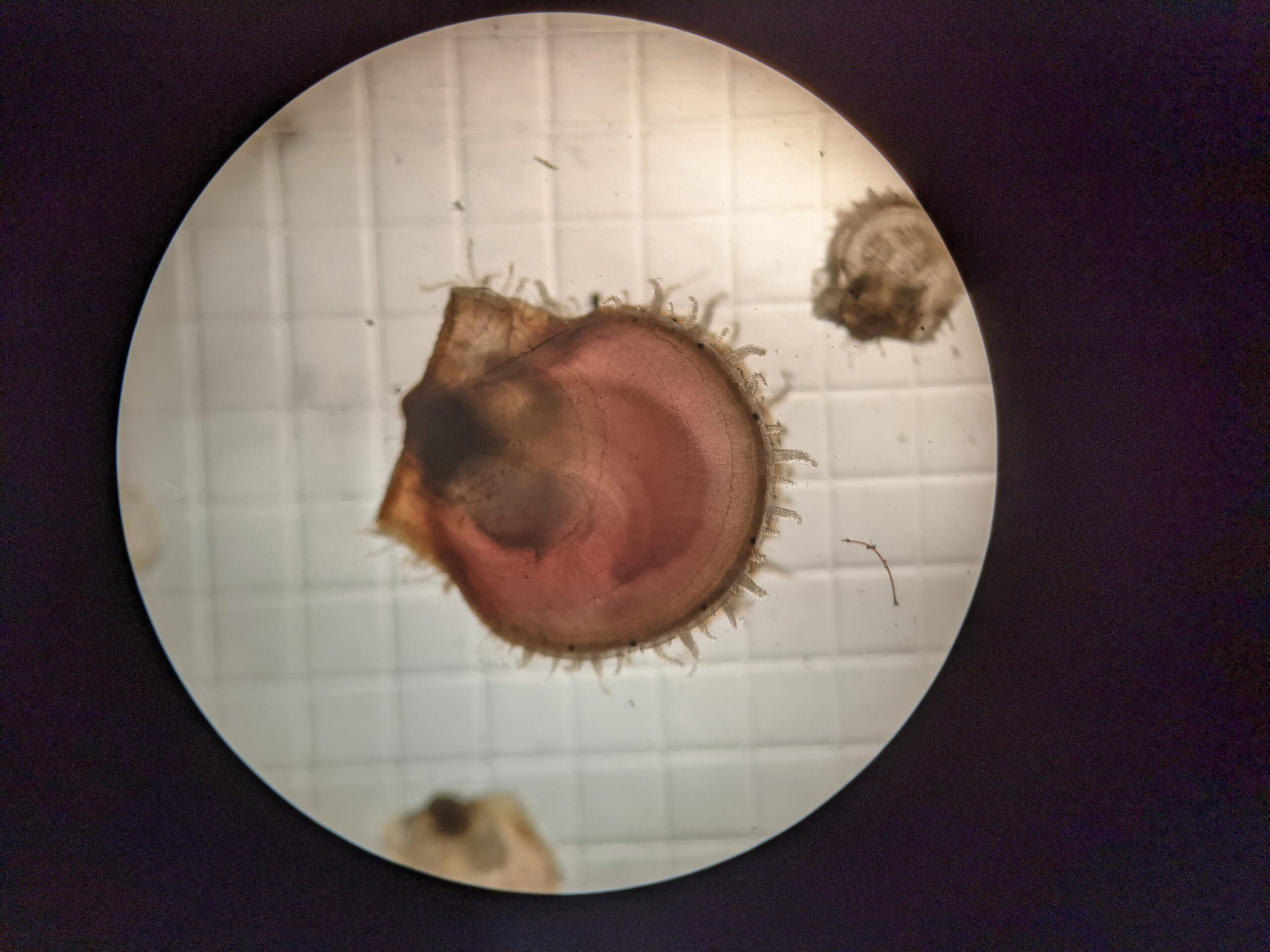 PXL_20220401_182616857