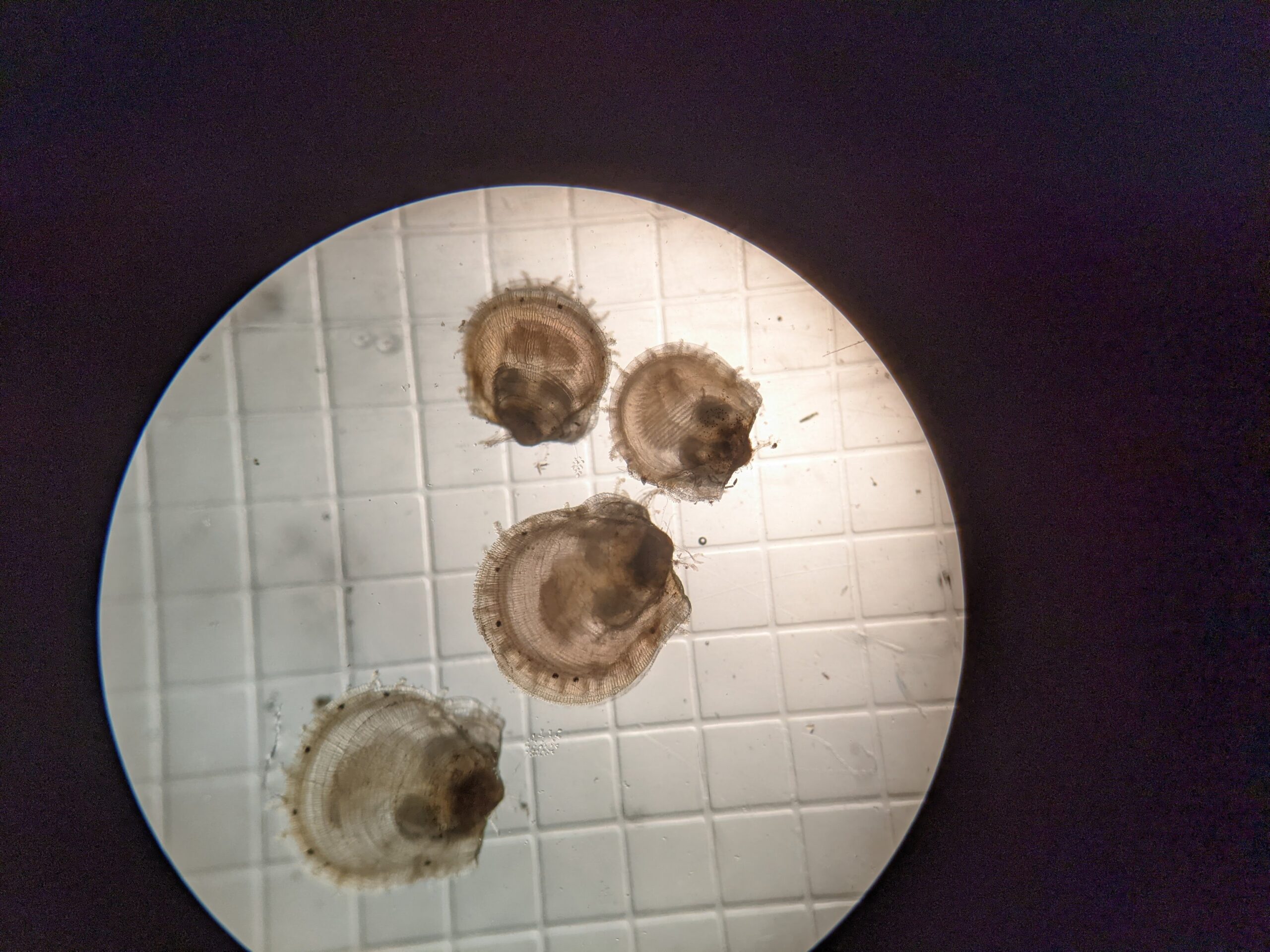 PXL_20220401_182649667