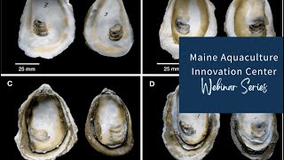 Aquatic Animal Health & Biosecurity