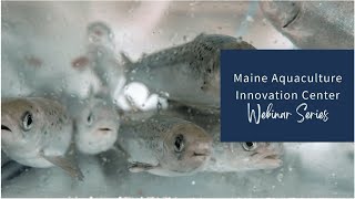 Finfish Aquaculture in Maine
