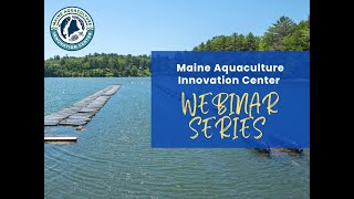 Diploid and Triploid Oyster Performance in Maine