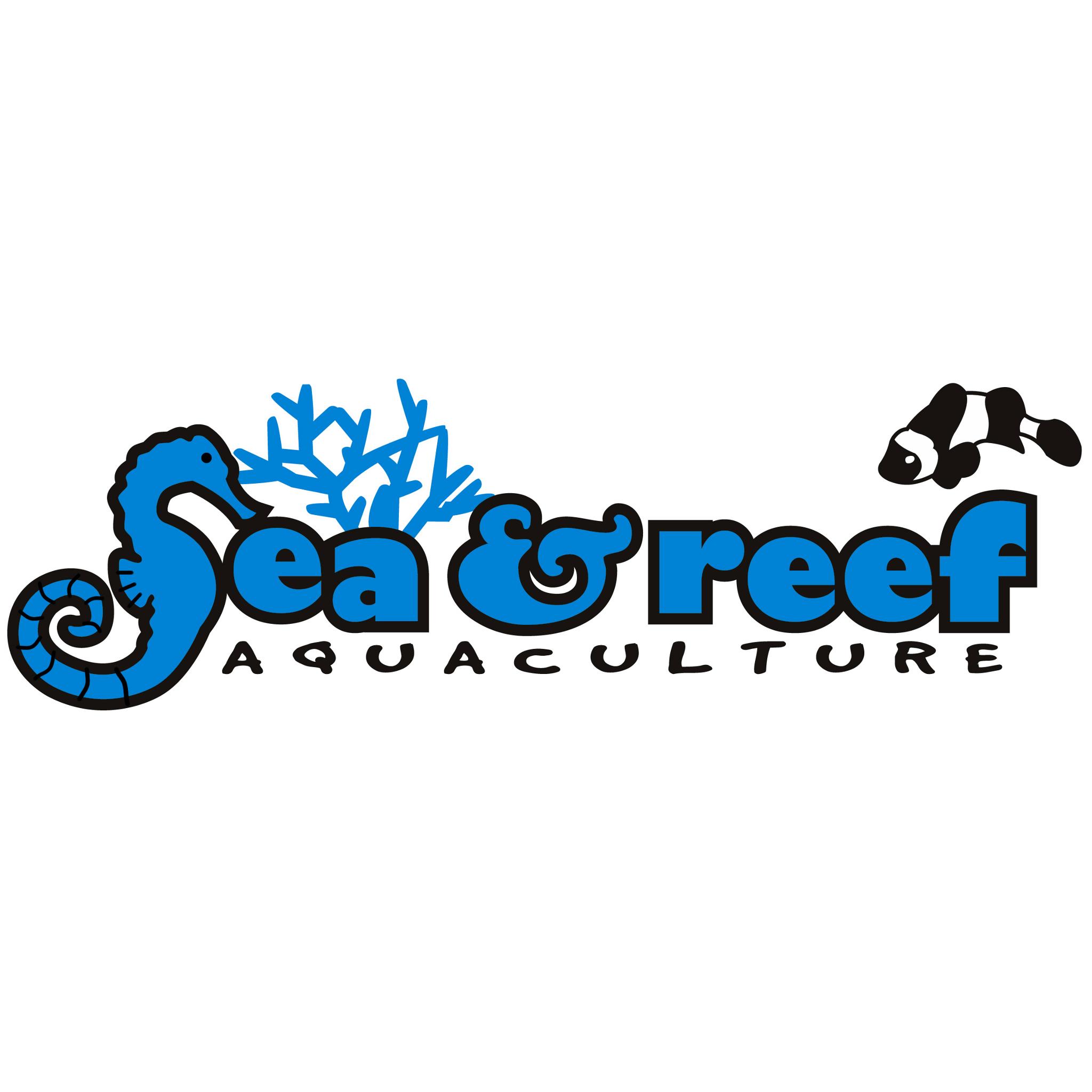 sea reef