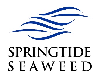 springtide copy
