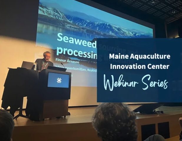 Arctic Algae: A Review of the Iceland Seaweed Conference