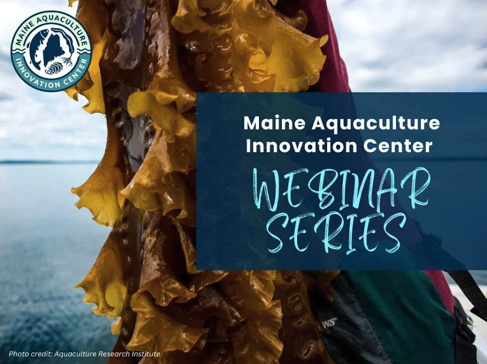 Aquaculture Leasing & Licensing