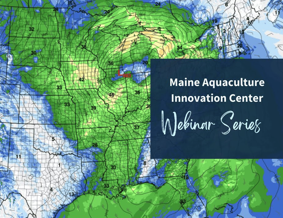 The State of The Gulf of Maine: Storming & Warming