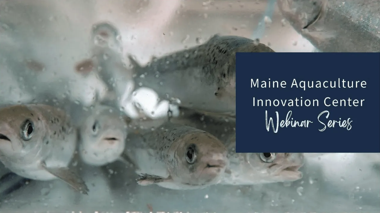 Finfish Aquaculture in Maine